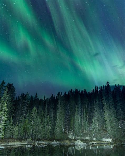 Northern Lights In The Yukon Aurora Borealis Photography Tips