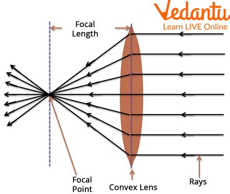 Types Of Lenses In Physics And The Process Of Making Lenses