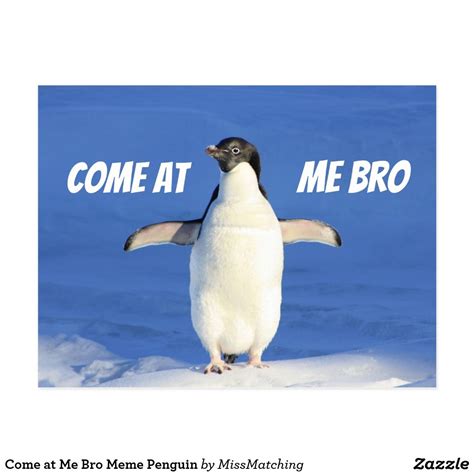 Come At Me Bro Meme Penguin Postcard Penguins Colorful Parrots