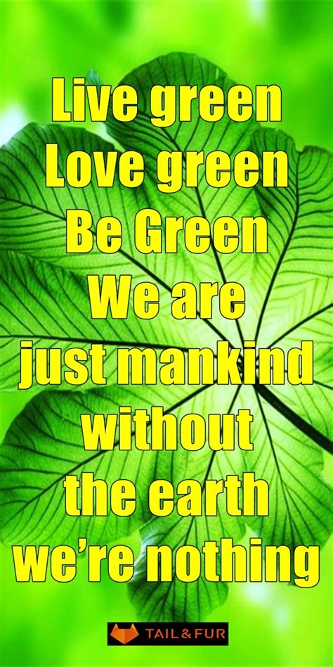 Heart Touching Sayings And Slogans On Save Environment
