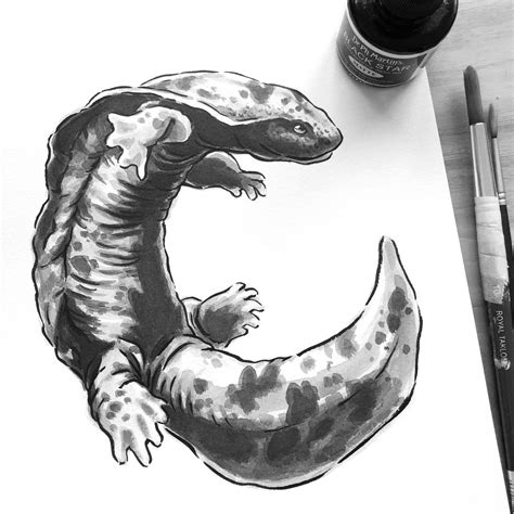 Hellbender Salamander In India Ink R Drawing