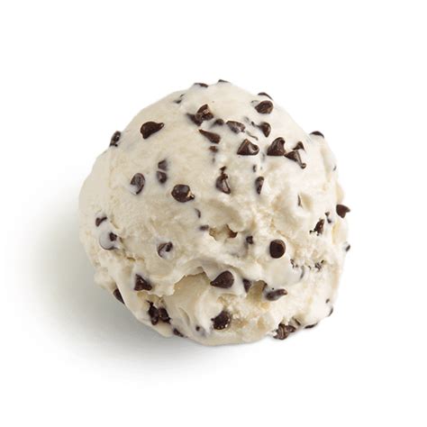 I refused to settle for sorbet, and wanted to enjoy sweet, creamy bliss just like everyone else. Chocolate Chip Ice Cream | Best Chocolate Chip Ice Cream ...