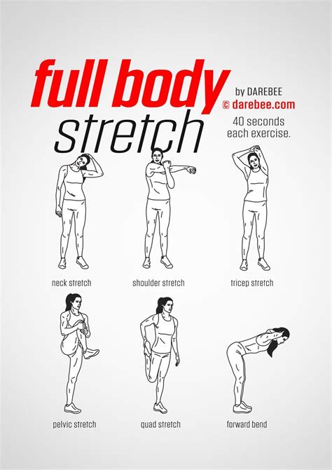 Full Body Stretch Workout Stretches Before Workout Workout Warm Up Office Exercise