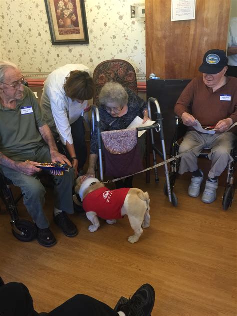 2015 a year in photos — Lehigh Valley Marine Corps League Detachment 296