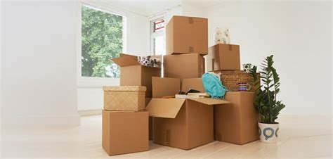 Bis wann muss die wohnungskündigung vorliegen? 33 Best Images Wann Mietvertrag Kündigen ...