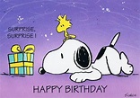 Surprise, Surprise Happy Birthday - Woodstock Sitting On Snoopy's Head ...