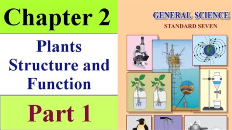 Plants Structure And Function 7th Std Part 1 Youtube