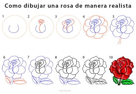 Como Dibujar Una Rosa De Manera Realista Cool2bkids