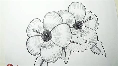 Pencil Drawing Pictures Of Flowers