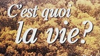 C'est quoi la vie ? (1999), un film de François Dupeyron | Premiere.fr ...