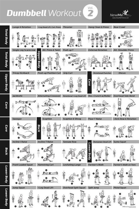 Newme Fitness Dumbbell Workout Exercise Poster Now Laminated