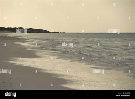 Horizon Beach Seaside The Beach Seashore Skyline Tropical Caribbean