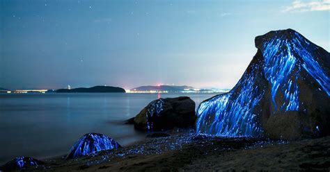 5 Bioluminescent Beaches That Will Blow Your Mind Huffpost