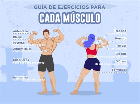 La guia de ejercicios por músculo de cuerpo más completa donde te