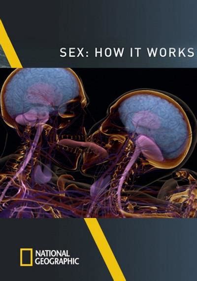 Nghiên Cứu National Geographic Sex How It Works Hdtv Sex Là Gì Hdvietnam Hơn Cả đam Mê