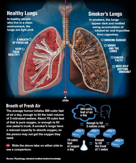 Anti Smoking System Healthy Lungs Vs Smokers Lungs For An