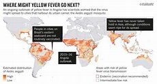 nature-yellow-fever-news-map-040216-online.jpg : Nature News & Comment