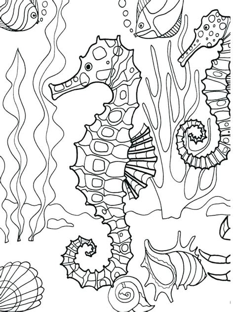 It's a wonderful home to almost 50% of all species on the planet! Coloring Page Ocean Underwater Pages Seahorse Adult Sea ...