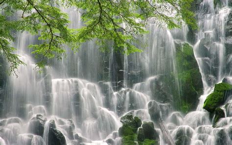 Free Download Hd Wallpaper Waterfall Green Branches Rocks Covered