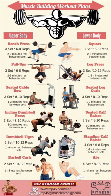 Best Workout Routine To Gain Muscle Mass WorkoutWalls