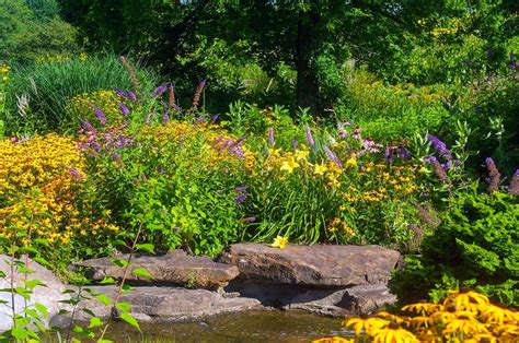 How To Add A Butterfly And Hummingbird Garden To Your Property