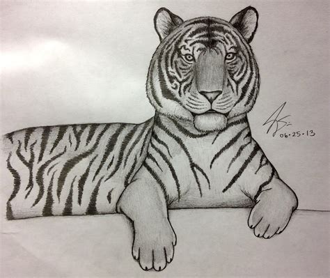 You can also add a few more strokes to the outline area of the head and inside the ears to give the fur a little more detail. Simple Tiger Face Drawing at GetDrawings | Free download