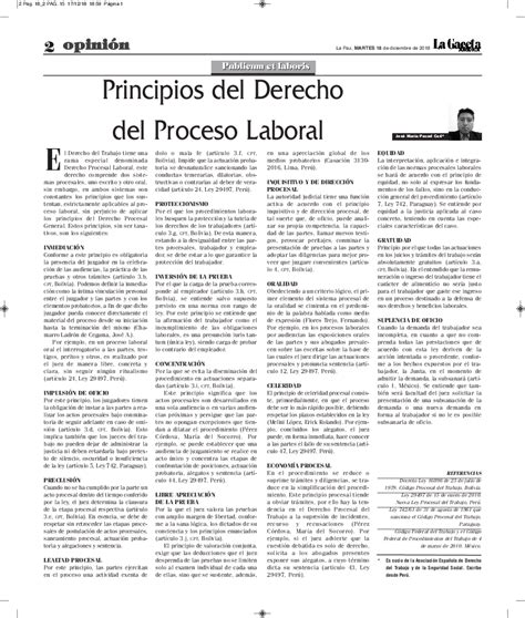 Pdf Principios Del Derecho Procesal Laboral José María Pacori Cari