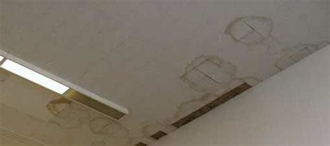How to repair water damaged ceiling tiles. Water Damage to Ceilings