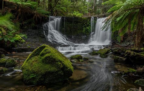 Wallpaper Forest River Stones Waterfall Australia Ferns Cascade