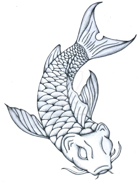 Koi Fish Pencil Drawing At Getdrawings Free Download