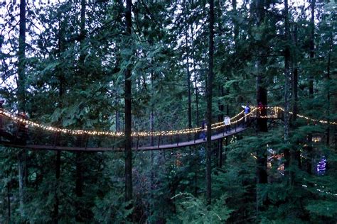 Christmas In A Cup Canyon Lights Capilano Suspension Bridge