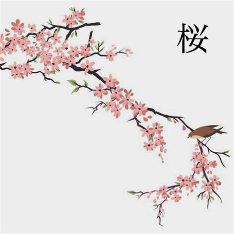 Japanese Sakura Drawing At Getdrawings Free Download