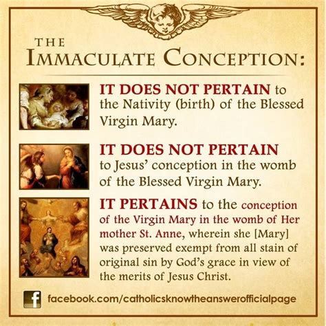 More detailed comments may be noted on the talk page. Feast of the Immaculate Conception: December 8, 2014 - St ...