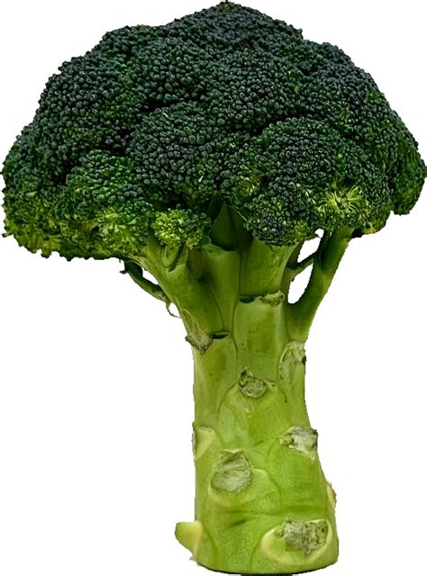 Broccoli Png Transparent