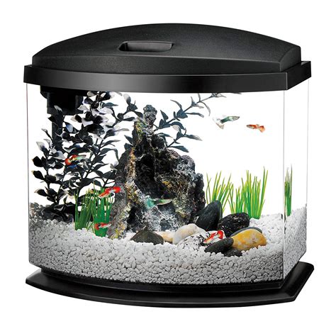 How many quarts are in a gallon? This Is How Many Fish You Can Fit In A 5-Gallon Tank