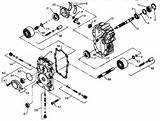 Pictures of Gear Pump Diagram