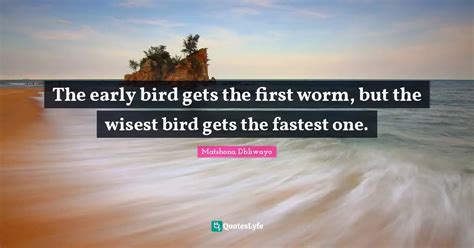 The Early Bird Gets The First Worm But The Wisest Bird Gets The Faste