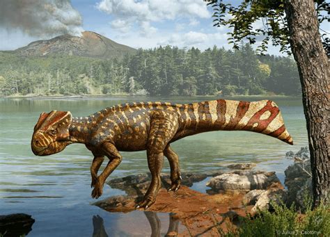 The Dinosaur Natovenator Polydontus Appears To Have Had A Body That Was