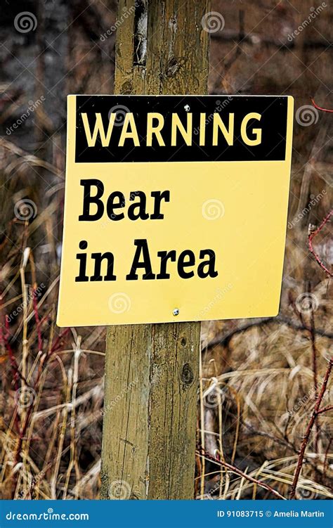 Warning Bear In Area Sign Stock Image Image Of Country 91083715