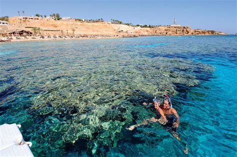 Reef Oasis Dive Club Sharm El Sheikh Reviews Photos And Special Rates