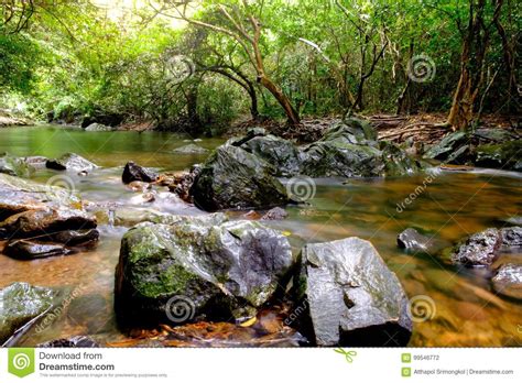 Rivers In Streams That Flow Through The Rocks Stock Photo Image Of
