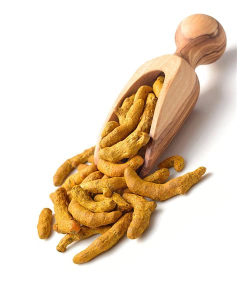 Turmeric Suppliers And Manufacturers Indian Turmeric Finger Exporter