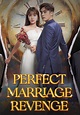 Perfect Marriage Revenge - streaming online