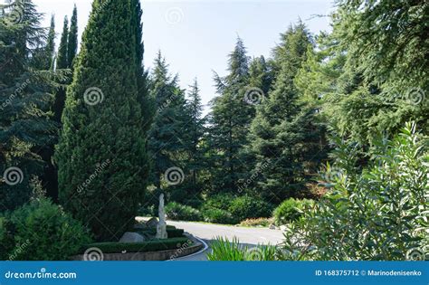 Picturesque Example Of Topiary Art With Evergreens Against Background