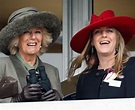 Meet Camilla Parker Bowles' daughter Laura Lopes - Daily Star