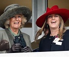 Meet Camilla Parker Bowles' daughter Laura Lopes - Daily Star