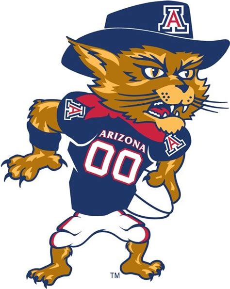 Arizona Wildcats Wild Cats Arizona Wildcats Mascot