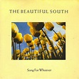 The Beautiful South – Song for Whoever Lyrics | Genius Lyrics