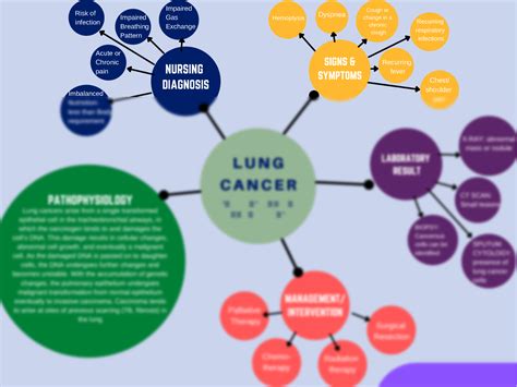 Lung Cancer Concept Map Docx Concept Map Disease Process Concept SexiezPicz Web Porn