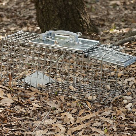 Easy Set Squirrel Trap 1 Spring Door Pest Supply Canada